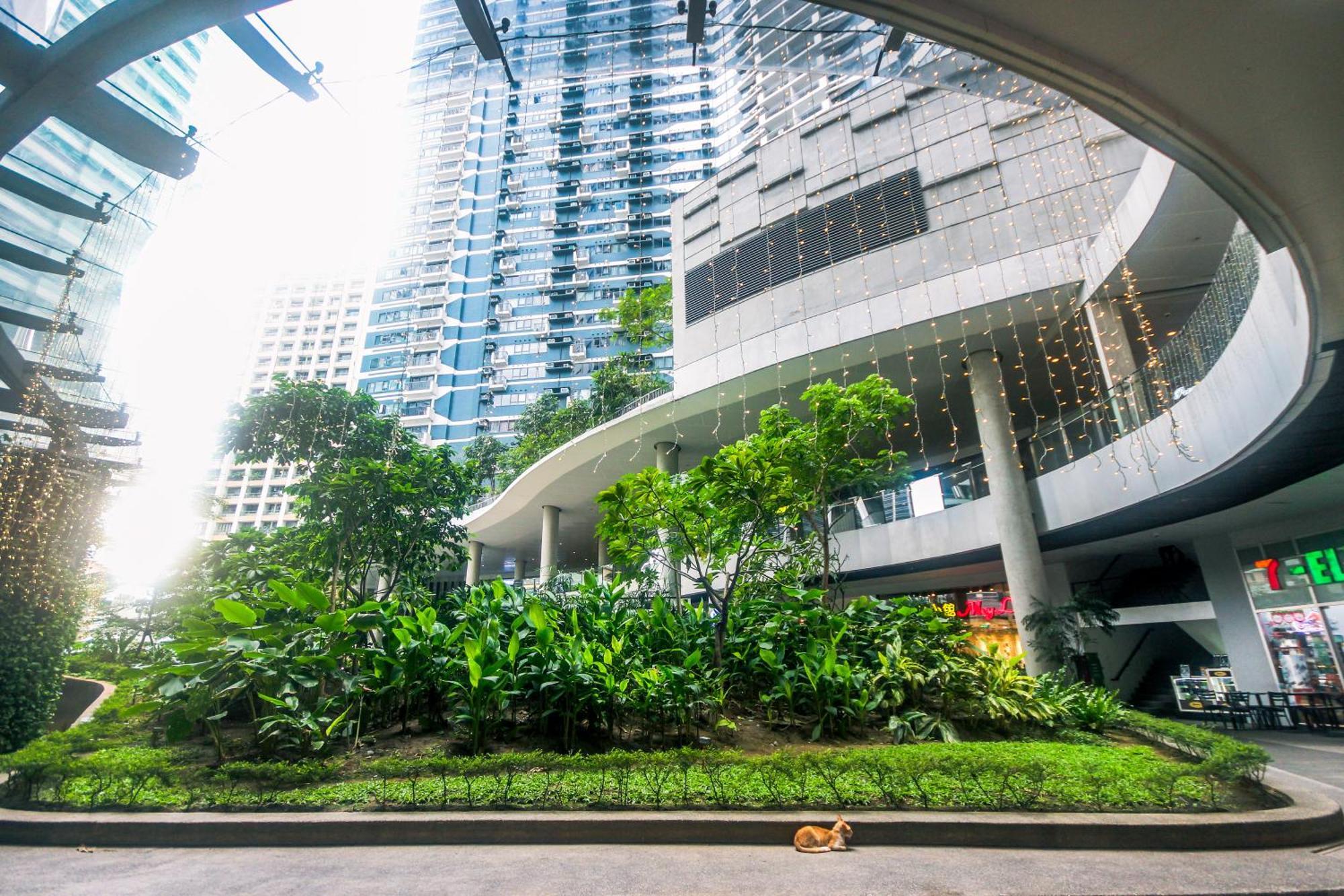 Cozy Crash Pad C Laughter Makati 2272 Swim Gym Park Internet 300 Manila